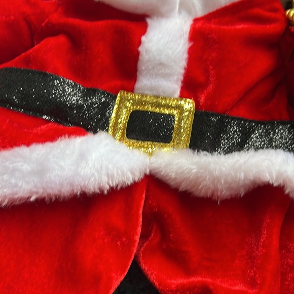 Jingles & Joy Santa Suit, Size Small, Dog - Picture 3 of 9